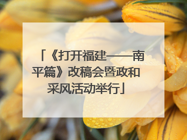 《打开福建——南平篇》改稿会暨政和采风活动举行