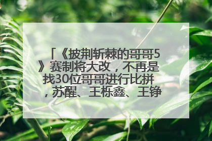 《披荆斩棘的哥哥5》赛制将大改，不再是找30位哥哥进行比拼，苏醒、王栎鑫、王铮亮、张远等多名男团选手被曝将参加