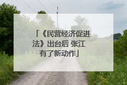 《民营经济促进法》出台后 张江有了新动作