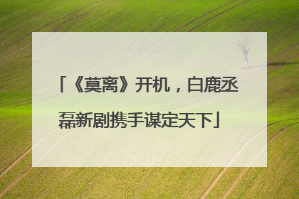 《莫离》开机，白鹿丞磊新剧携手谋定天下