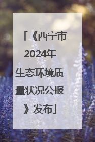 《西宁市2024年生态环境质量状况公报》发布