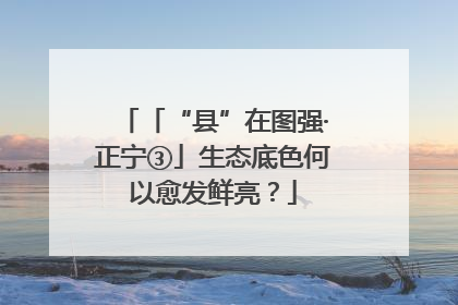 「“县”在图强·正宁③」生态底色何以愈发鲜亮？