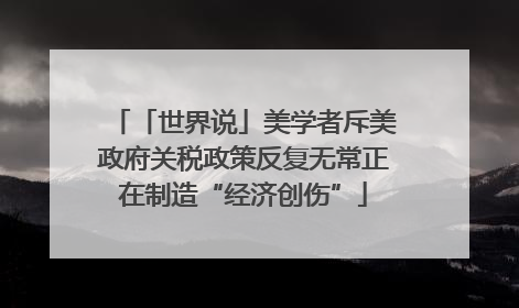 「世界说」美学者斥美政府关税政策反复无常正在制造“经济创伤”