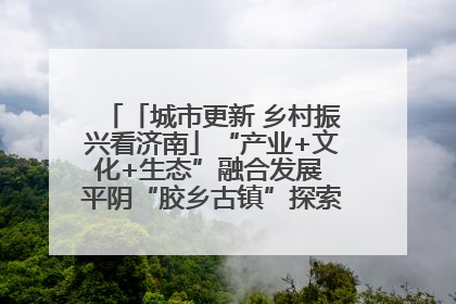 「城市更新 乡村振兴看济南」“产业+文化+生态”融合发展 平阴“胶乡古镇”探索振兴路径成效显著