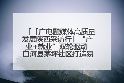 「广电融媒体高质量发展陕西采访行」“产业+就业”双轮驱动 白河县茅坪社区打造易地搬迁后扶新样本