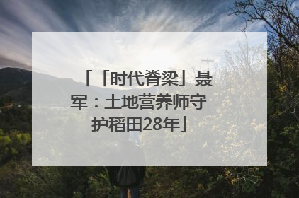 「时代脊梁」聂军：土地营养师守护稻田28年