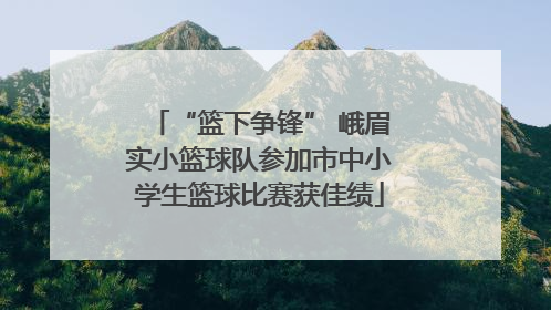 “篮下争锋” 峨眉实小篮球队参加市中小学生篮球比赛获佳绩