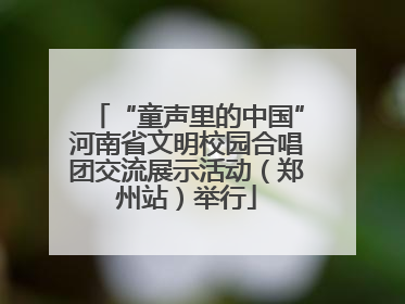 “童声里的中国”河南省文明校园合唱团交流展示活动（郑州站）举行