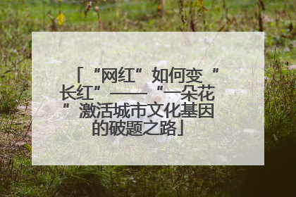 “网红”如何变“长红”——“一朵花”激活城市文化基因的破题之路