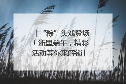 “粽”头戏登场！浙里端午，精彩活动等你来解锁