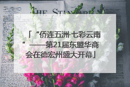 “侨连五洲·七彩云南”——第21届东盟华商会在德宏州盛大开幕