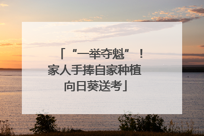 “一举夺魁”！家人手捧自家种植向日葵送考