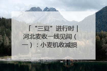 “三夏”进行时｜河北麦收一线见闻（一）：小麦机收减损“竞技” 农机高手麦田“过招”