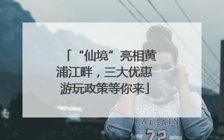 “仙境”亮相黄浦江畔，三大优惠游玩政策等你来