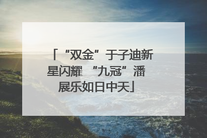 “双金”于子迪新星闪耀 “九冠”潘展乐如日中天