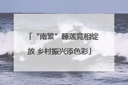 “南繁”睡莲竞相绽放 乡村振兴添色彩