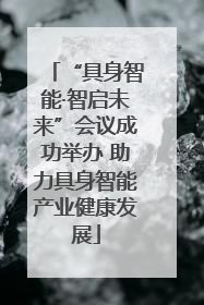 “具身智能·智启未来”会议成功举办 助力具身智能产业健康发展