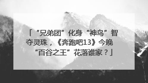 “兄弟团”化身“神鸟”智夺灵珠，《奔跑吧13》今晚“百谷之王”花落谁家？