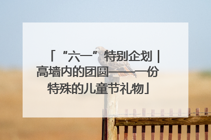 “六一”特别企划｜高墙内的团圆——一份特殊的儿童节礼物