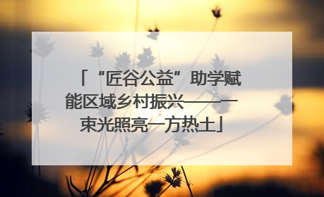 “匠谷公益”助学赋能区域乡村振兴——一束光照亮一方热土