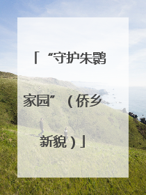 “守护朱鹮家园”（侨乡新貌）