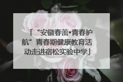 “安徽春蕾•青春护航”青春期健康教育活动走进宿松实验中学