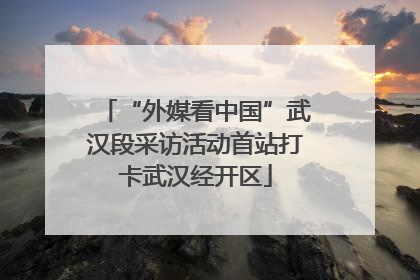 “外媒看中国”武汉段采访活动首站打卡武汉经开区