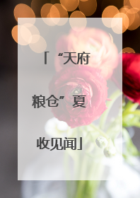 “天府粮仓”夏收见闻