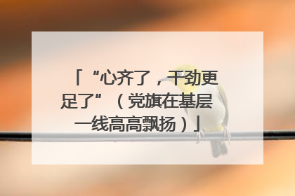 “心齐了，干劲更足了”（党旗在基层一线高高飘扬）