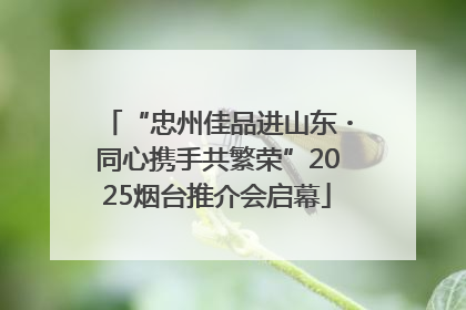 “忠州佳品进山东・同心携手共繁荣”2025烟台推介会启幕