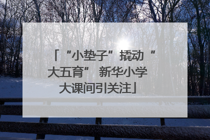 “小垫子”撬动“大五育” 新华小学大课间引关注