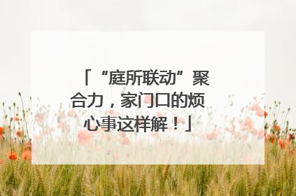 “庭所联动”聚合力，家门口的烦心事这样解！