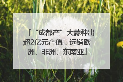 “成都产”大蒜种出超2亿元产值，远销欧洲、非洲、东南亚
