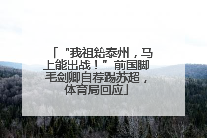 “我祖籍泰州，马上能出战！”前国脚毛剑卿自荐踢苏超，体育局回应