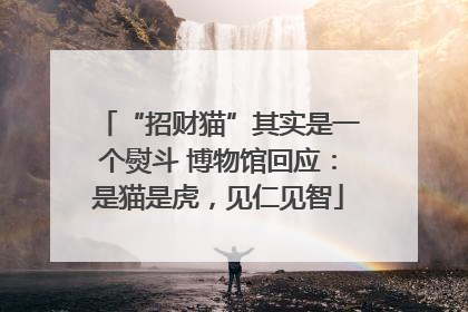 “招财猫”其实是一个熨斗 博物馆回应：是猫是虎，见仁见智
