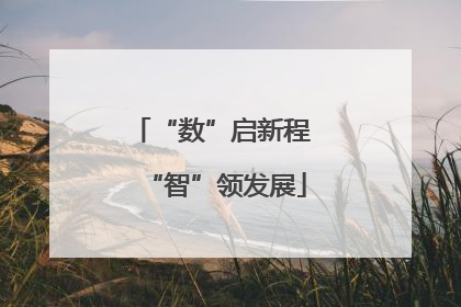 “数”启新程 “智”领发展