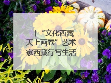 “文化西藏 天上画卷”艺术家西藏行写生活动在拉萨启动