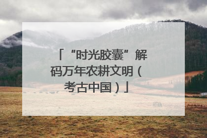 “时光胶囊”解码万年农耕文明（考古中国）