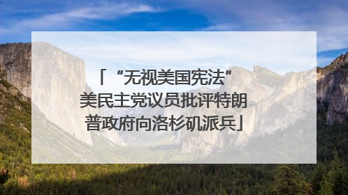 “无视美国宪法” 美民主党议员批评特朗普政府向洛杉矶派兵