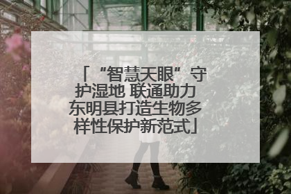 “智慧天眼”守护湿地 联通助力东明县打造生物多样性保护新范式