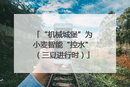 “机械城堡”为小麦智能“控水”（三夏进行时）