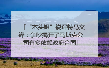 “木头姐”锐评特马交锋：争吵揭开了马斯克公司有多依赖政府合同