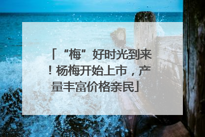 “梅”好时光到来！杨梅开始上市，产量丰富价格亲民
