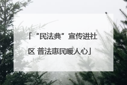 “民法典”宣传进社区 普法惠民暖人心