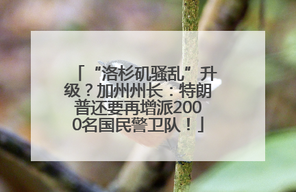 “洛杉矶骚乱”升级？加州州长：特朗普还要再增派2000名国民警卫队！