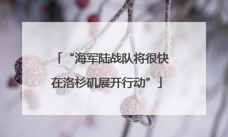 “海军陆战队将很快在洛杉矶展开行动”