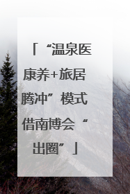 “温泉医康养+旅居腾冲”模式借南博会“出圈”