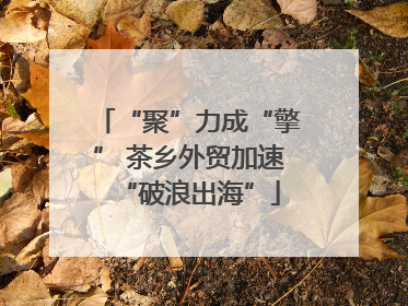 “聚”力成“擎” 茶乡外贸加速“破浪出海”