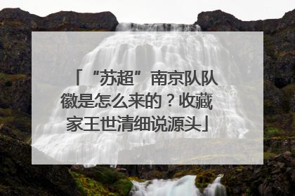 “苏超”南京队队徽是怎么来的？收藏家王世清细说源头