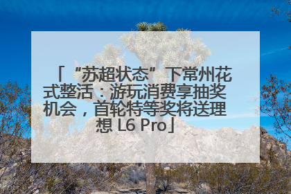 “苏超状态”下常州花式整活：游玩消费享抽奖机会，首轮特等奖将送理想 L6 Pro